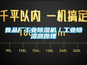 常見問(wèn)題食品廠工業(yè)除濕機(jī)／工業(yè)除濕器原理