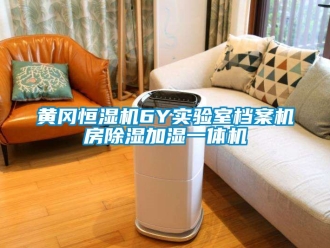 知識百科黃岡恒濕機6Y實驗室檔案機房除濕加濕一體機