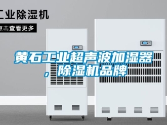 常見(jiàn)問(wèn)題黃石工業(yè)超聲波加濕器，除濕機(jī)品牌