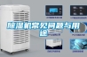 除濕機常見(jiàn)問(wèn)題與用途