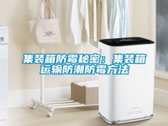 常見問題集裝箱防霉秘密：集裝箱運輸防潮防霉方法