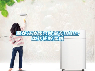 常見問題黑龍江玻璃合片室專用組合型轉(zhuǎn)輪除濕機(jī)
