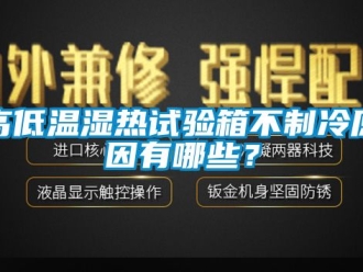 常見問題高低溫濕熱試驗箱不制冷原因有哪些？