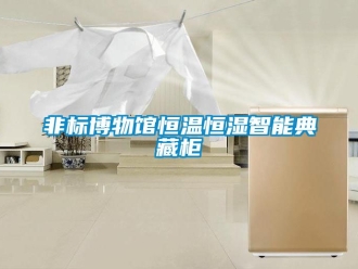 知識(shí)百科非標(biāo)博物館恒溫恒濕智能典藏柜