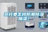 茶葉要怎樣防潮除濕加濕？