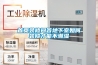 首頁(yè)裝修問(wèn)答地下室如何裝修才能不潮濕