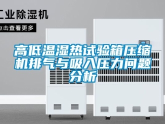 常見問題高低溫濕熱試驗箱壓縮機(jī)排氣與吸入壓力問題分析