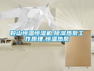常見問題鞍山恒溫恒濕機,除濕熱泵工作原理,恒溫熱泵