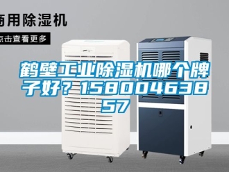 常見(jiàn)問(wèn)題鶴壁工業(yè)除濕機(jī)哪個(gè)牌子好？15800463857