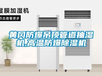 企業(yè)新聞黃岡防爆吊頂管道抽濕機,高溫防爆除濕機
