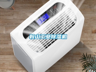 常見問題鞍山工業(yè)除濕機