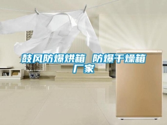 企業(yè)新聞鼓風(fēng)防爆烘箱 防爆干燥箱廠家