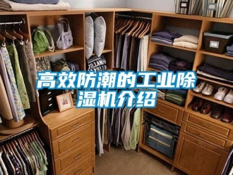 常見問題高效防潮的工業(yè)除濕機(jī)介紹