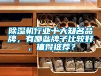 企業(yè)新聞除濕機(jī)行業(yè)十大知名品牌，有哪些牌子比較好，值得推薦？