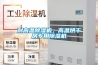 耐高溫除濕機，高溫烘干房專(zhuān)用除濕機