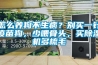 怎么養狗不生??？別買(mǎi)一針疫苗狗，少喂骨頭，買(mǎi)除濕機多梳毛