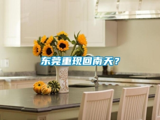 企業(yè)新聞東莞重現(xiàn)回南天？