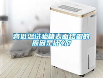 常見問題高低溫試驗箱表面結(jié)霜的原因是什么？