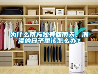 常見問題為什么南方獨有回南天，潮濕的日子里該怎么辦？