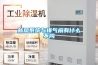 新風(fēng)系統與排氣扇有什么不同