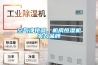 空氣凈化器、機房恒濕機實(shí)力品牌