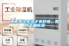 梅雨季讓生活干爽舒適，如何正確除濕