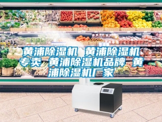 企業(yè)新聞黃浦除濕機 黃浦除濕機專賣 黃浦除濕機品牌 黃浦除濕機廠家