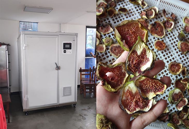 廣東江門(mén)鶴山市鶴城鎮工業(yè)二區永輝食品廠(chǎng)無(wú)花果烘干機使用現場(chǎng)